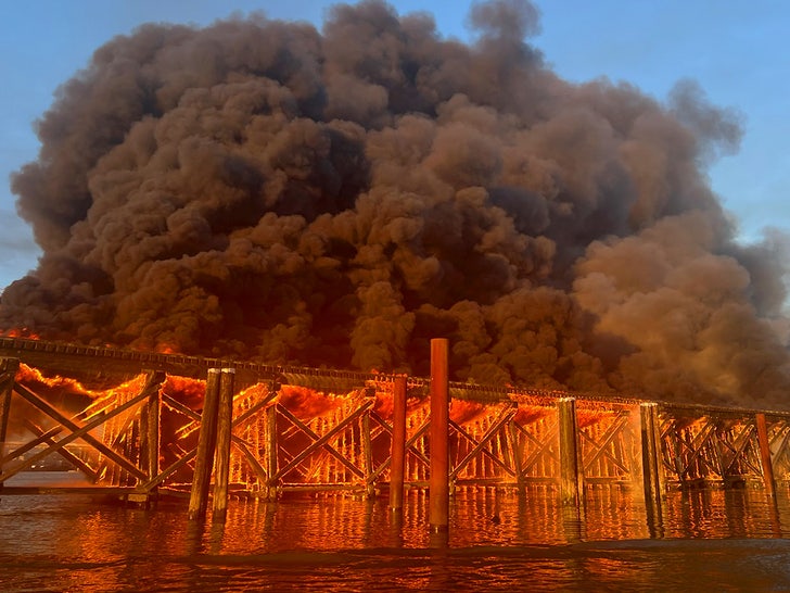 marpole rail bridge fire