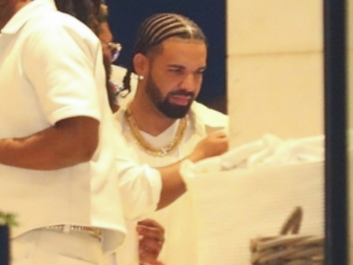 drake at mike rubin party