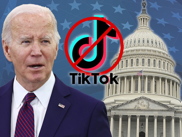 tiktok joe biden  getty  .jpg